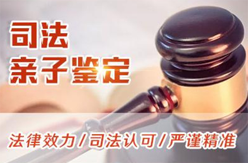 海口司法亲子鉴定到哪里,海口司法亲子鉴定需要什么材料和流程