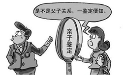 海口DNA亲子鉴定价格，海口亲子鉴定办理方法