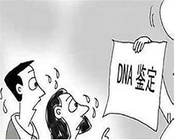 海口户籍亲子鉴定哪里做的准，海口上户口亲子鉴定预约